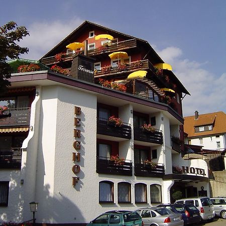 Panoramahotel Berghof Баїрсбронн Екстер'єр фото